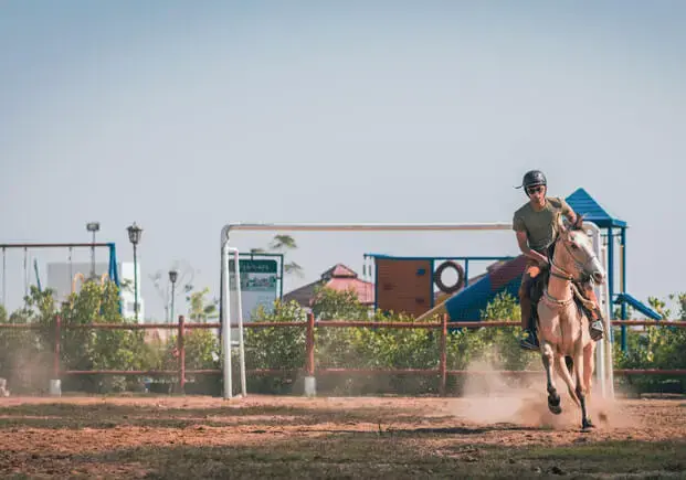 Horse Riding